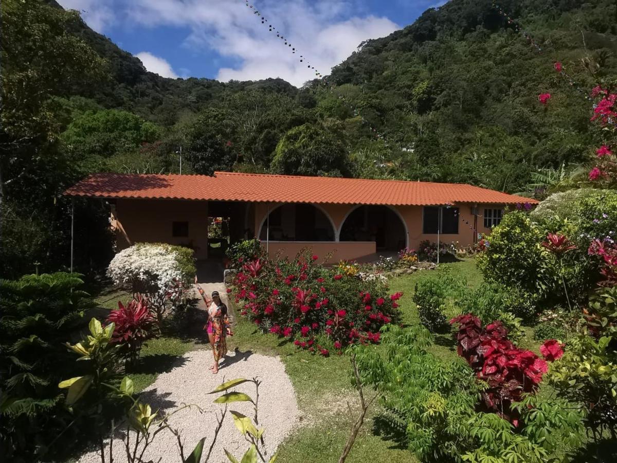 El Valle de AntonEl Zumbito公寓 客房 照片