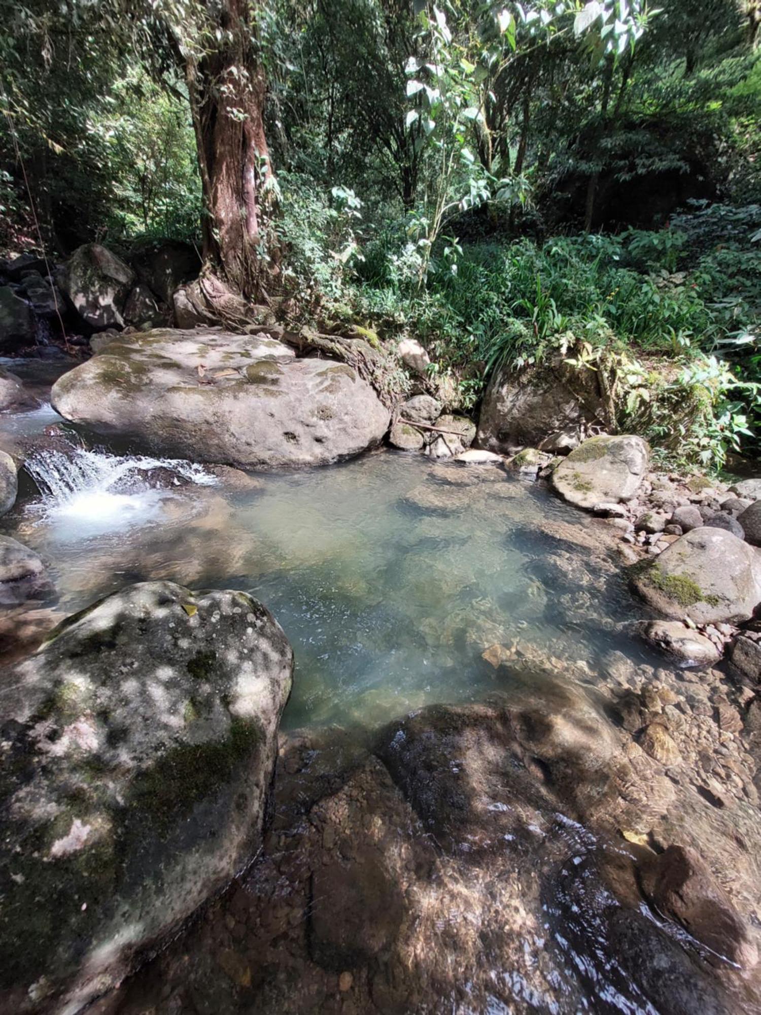 El Valle de AntonEl Zumbito公寓 客房 照片