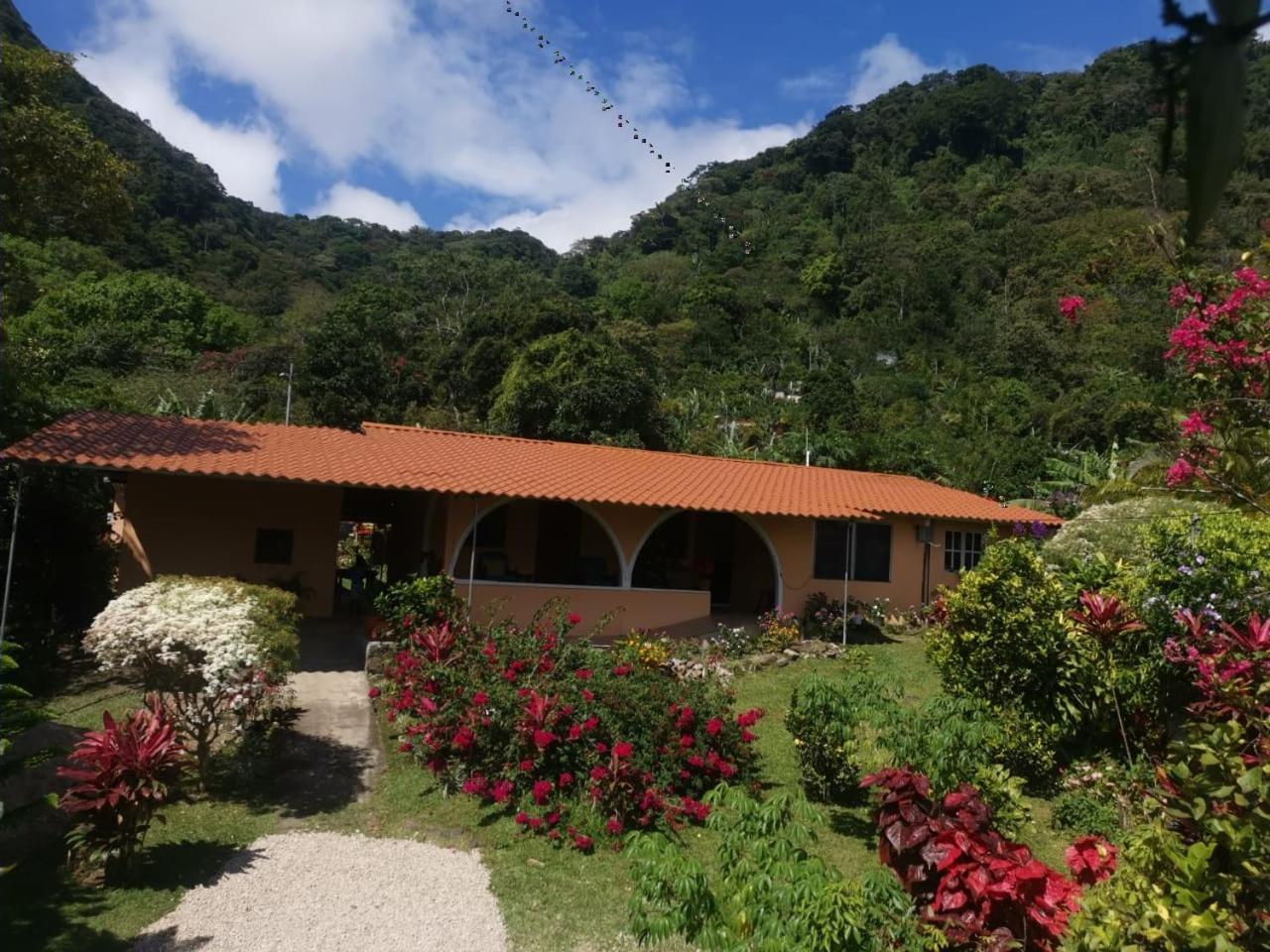El Valle de AntonEl Zumbito公寓 客房 照片